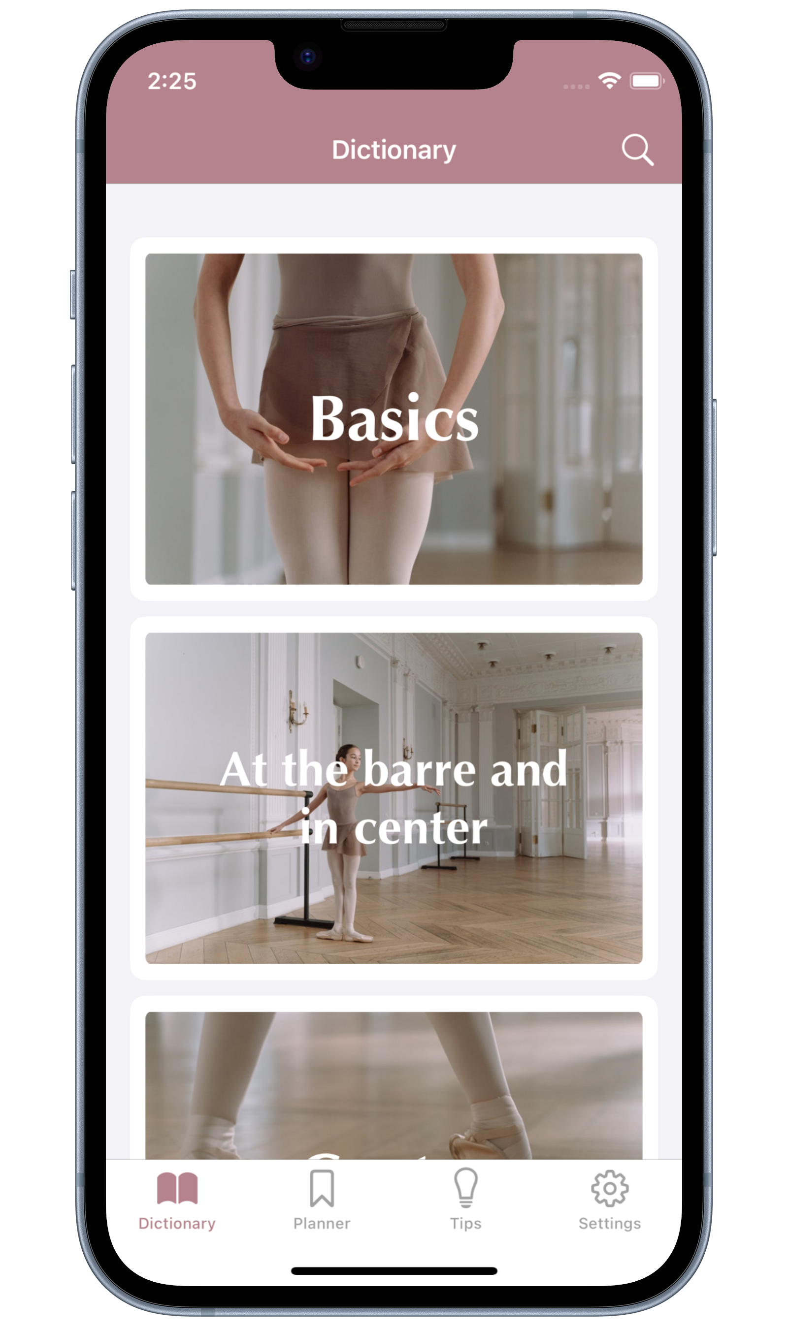 iPhone screenshot of Ballet Bible